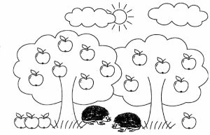 رنگ آمیزی برای کودکان 5 ساله